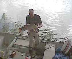 the famous River Ebro carp