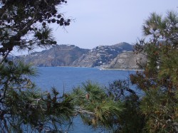 Peaceful La Herradura