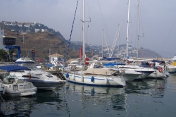 Nearby Marina del Este