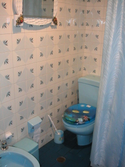 Large bathroom