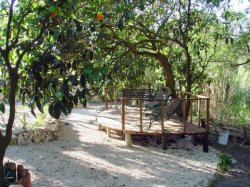Shaded seating area