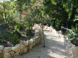 Tropical garden