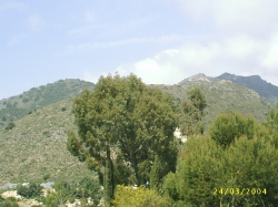 The mountains at the back of the villa
