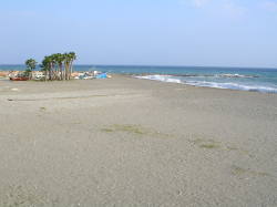Beach 50 metres from the villa