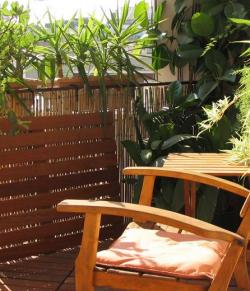 In the morning, sun to relax