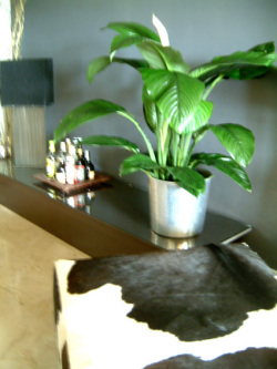 Stylish decor