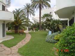 View Of Communial Garden