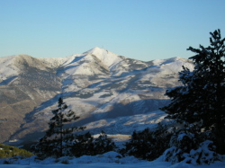 winter 2004