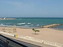 Local beach