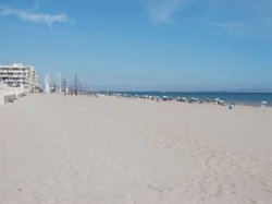 Local beach