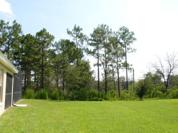 large plot