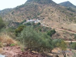 View of the Area