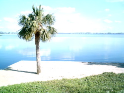 View over Lake