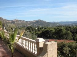 Views across the valley or orange groves
