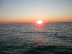 Naples Beautiful Tropical Sunsets
