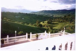 A Great View