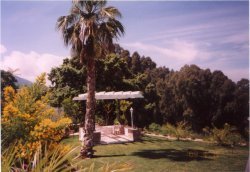 The Garden
