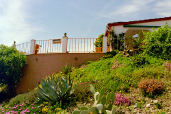 Gardens to the front