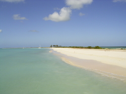 Excursions to beautiful Barbuda