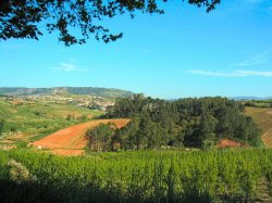View from Quinta Do Sol