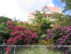 Garden and Villa