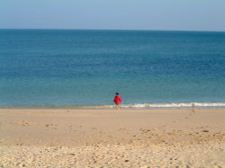 Nearby Beach