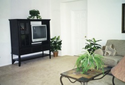 Media centre in family room,  cable TV