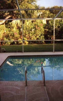 Close up of Pool