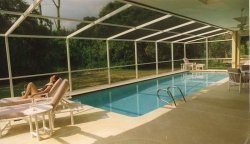 The Swimming Pool