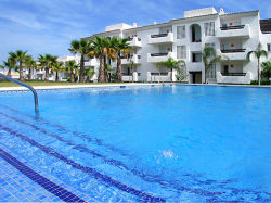 Pool and Grounds