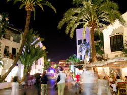 Local NightLife