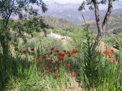 Atajate