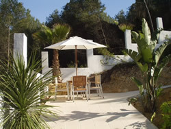 Back terrace