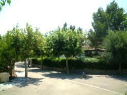 setting on a secluded corner plot