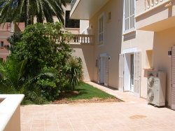 Terrace and garden