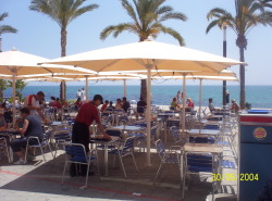 Beachfront restaurants