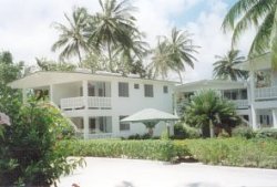Art Studios - in lush tropical gardens