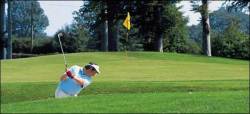 several golf courses within easy reach