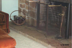 Living room /fireplace