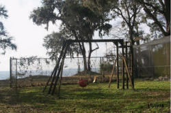 Swing set