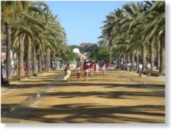 walkway to the beach