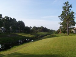 Canal view from the lanai and pool