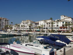 Duquesa marina