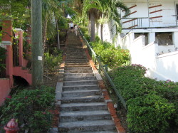 99 Steps