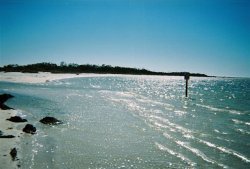 BEAUTIFUL LOVERS KEY BEACH