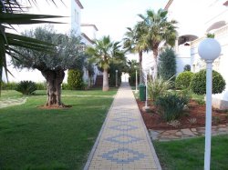 Gardens and complex from duplex