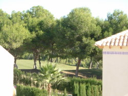 View from Roof Terrace