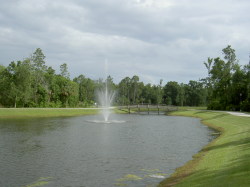 One of the many lakes on the community