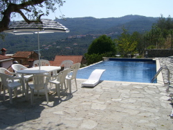 The Pool Terrace