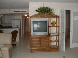 The TV